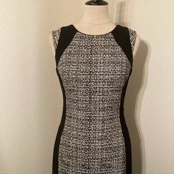 COPY - White House | Black Market Sleeveless Dress (4) - Picture 7 of 8